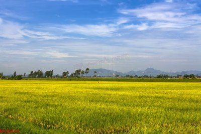 File gốc File tranh phong cảnh việt nam PC6211 (in 3D) nghệ thuật