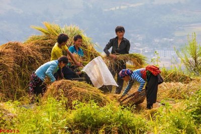 Mua file gốc File tranh phong cảnh việt nam PC6213 (in ấn) tại Filetranh.com