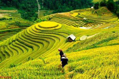 File tranh gốc PSD File tranh phong cảnh việt nam PC6216 còn nguyên layer