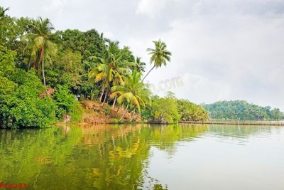 File tranh File tranh phong cảnh việt nam PC6233 (bản gốc) in canvas