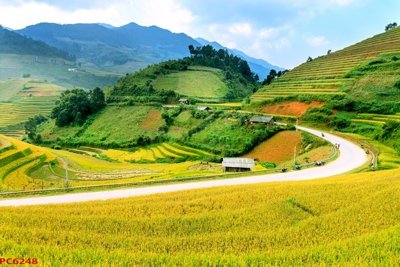 Tải file gốc File tranh phong cảnh việt nam PC6248 (in bạt) quảng cáo