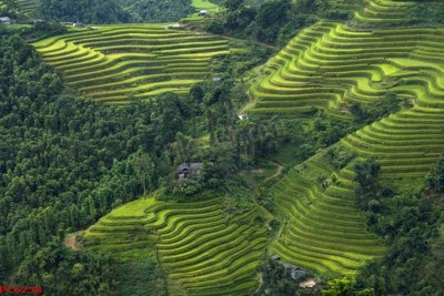 Tải file tranh gốc File tranh phong cảnh việt nam PC6258 chất lượng cao