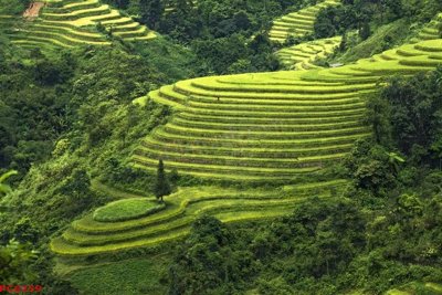 File in trần File tranh phong cảnh việt nam PC6259 (file gốc) xuyên sáng