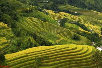 File tranh File tranh phong cảnh việt nam PC6261 (bản gốc) in lụa 5D