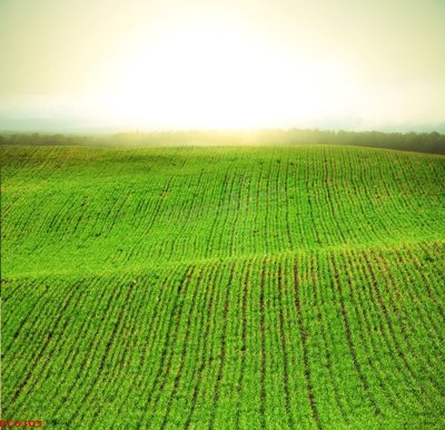 File tranh gốc File tranh phong cảnh việt nam PC6303 (bản quyền) file PSD