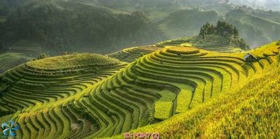 File PSD File gốc phong cảnh PC647 (gốc) nhiều lớp (multi-layer)