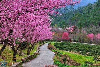 Tải file File gốc phong cảnh PC650 (gốc) in ấn chất lượng