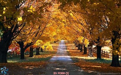 Download file File gốc phong cảnh PC656 (gốc) in mica đèn LED