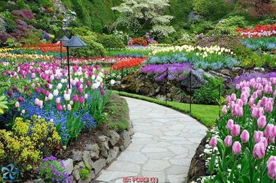 File tranh in tráng gương File gốc phong cảnh PC663 (siêu nét)