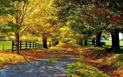 File gốc File gốc phong cảnh PC666 (in lụa) hoa văn cổ điển