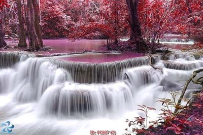 File in lụa File gốc phong cảnh PC667 (phong cảnh) File gốc phong cảnh PC667