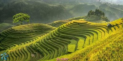 Mua file gốc File gốc phong cảnh PC677 (in ấn) tại Filetranh.com