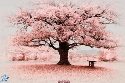 Tệp tin gốc File gốc phong cảnh PC688 (chất lượng) File gốc phong cảnh PC688