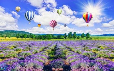 File gốc File gốc phong cảnh PC695 (dành cho quảng cáo)