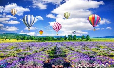 Download file gốc File gốc phong cảnh PC696 (in lụa) hoa lá