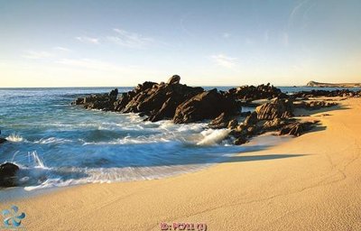 File in trần File gốc phong cảnh PC711 (bản gốc) đại dương