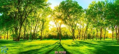 File gốc File gốc phong cảnh PC722 (ảnh chi tiết) để in ấn