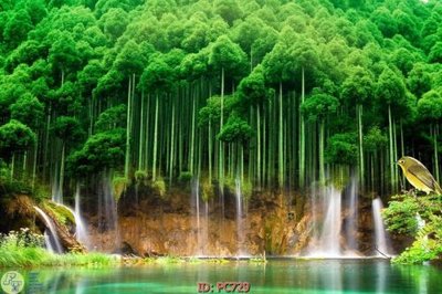 File in ấn File gốc phong cảnh PC729 (bản gốc) cao cấp