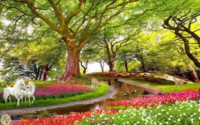 File in trần File gốc phong cảnh PC744 (file gốc) xuyên sáng