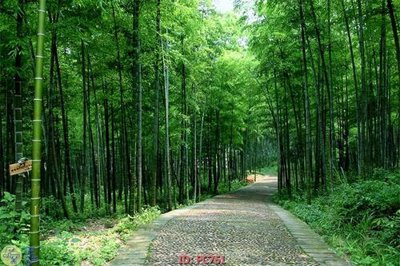 File in lụa File gốc phong cảnh PC761 (chất lượng cao) File gốc phong cảnh PC761