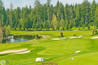 Tải file File gốc phong cảnh PC769 (gốc) làm file thiết kế