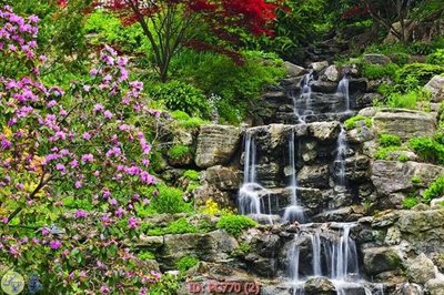 File tranh File gốc phong cảnh PC770 (file gốc) chuẩn màu in