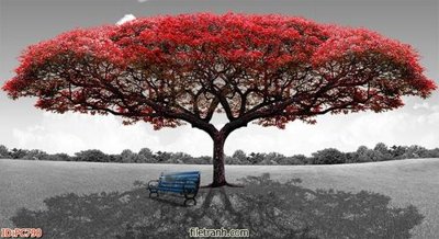 File tranh trang trí File gốc phong cảnh PC790 (file gốc)