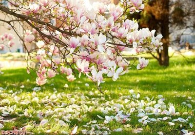 File gốc File gốc phong cảnh PC798 (in 3D) cho trang trí