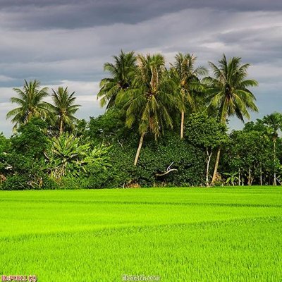 File PSD File gốc phong cảnh PC811 (bản gốc) đã tách nền