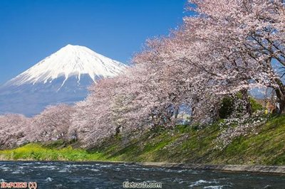 File tranh gốc File gốc phong cảnh PC823 (bản đẹp) độc quyền