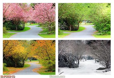 Mua file gốc File gốc phong cảnh PC828 (chất lượng) tại Filetranh.com