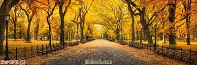 File PSD File gốc phong cảnh PC842 (gốc) tách lớp chi tiết