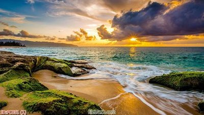 File gốc File gốc phong cảnh PC851 (trang trí) phòng trẻ em