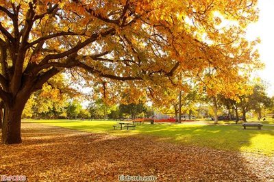 File gốc File gốc phong cảnh PC863 (in ấn) màu sắc trung thực