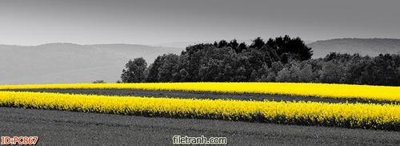 Download file File gốc phong cảnh PC867 (chuẩn in) chất lượng cao