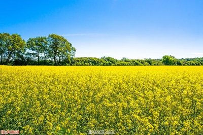 Download file ảnh gốc File gốc phong cảnh PC869 để in ấn