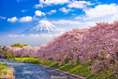 Tải file gốc File gốc phong cảnh PC903 (in tráng gương) 5DFile gốc File gốc phong cảnh PC903 (in ấn) phiên bản premium