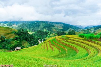 File tranh quảng cáo File gốc phong cảnh PC908 (download file gốc)