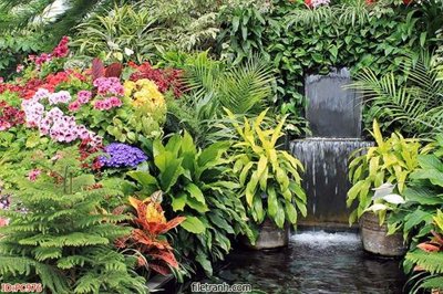 Tải file gốc File gốc phong cảnh PC976 (in tráng gương) siêu đẹpFile tranh gốc File gốc phong cảnh PC976 chất lượng cao