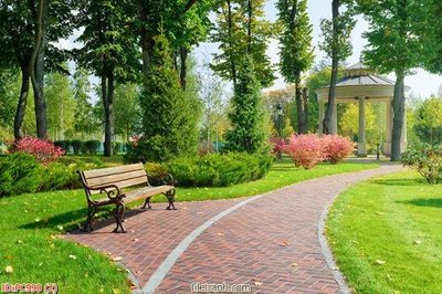 File tranh File gốc phong cảnh PC990 (ảnh gốc) in trần nhà