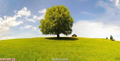 File PSD File gốc phong cảnh PC992 (bản gốc) chất lượng nhất