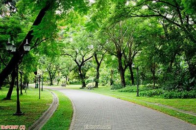 Tải file File gốc phong cảnh PC997 (ảnh gốc) 300dpi File gốc phong cảnh PC997