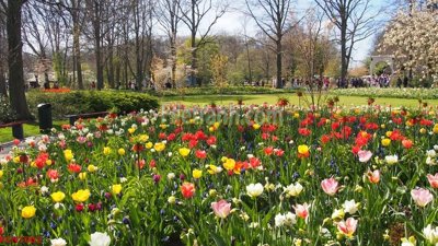 Tải file gốc File tranh phong cảnh thiên nhiên PCN1002 (in tráng gương) 5DFile gốc File tranh phong cảnh thiên nhiên PCN1002 (in ấn) phiên bản premium