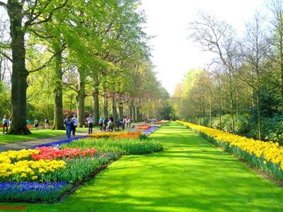 File gốc File tranh phong cảnh thiên nhiên PCN1007 cho in ấn và thiết kế