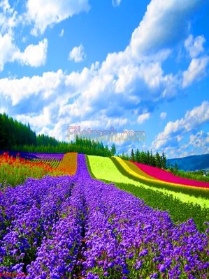 File gốc File tranh phong cảnh thiên nhiên PCN1036 (in tráng gương) hiện đại