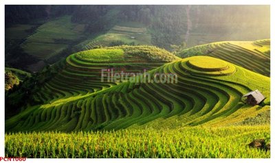 File in lụa File tranh phong cảnh thiên nhiên PCN1060 (tân cổ điển) File tranh phong cảnh thiên nhiên PCN1060