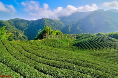 Download file gốc File tranh phong cảnh thiên nhiên PCN1068 (in mica) logo