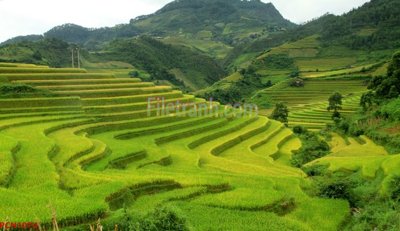 File gốc File tranh phong cảnh thiên nhiên PCN1074 (in 3D) nghệ thuật