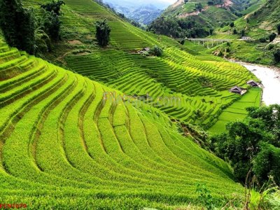 File tranh File tranh phong cảnh thiên nhiên PCN1079 (gốc) chủ đề trẻ em