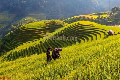 Tải file File tranh phong cảnh thiên nhiên PCN1080 (ảnh gốc) in gạch 3D